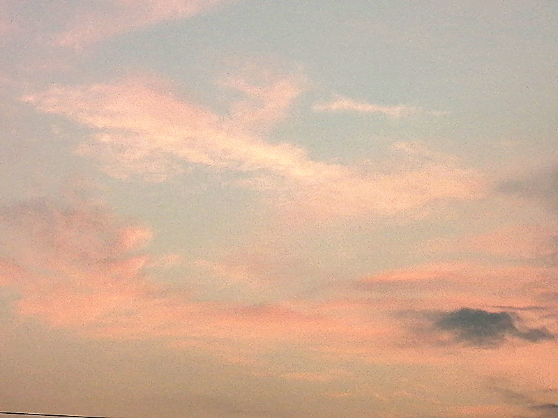 ӮߡսֻΪĵ